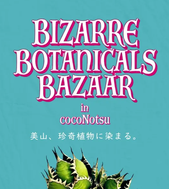 Bizarrel Botanical Bazaar