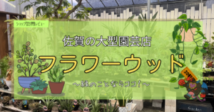 九州植物ショップ紹介｜フラワーウッド