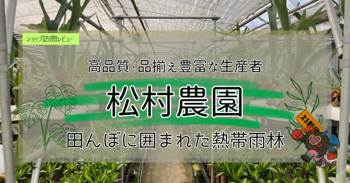九州植物ショップ紹介｜松村農園