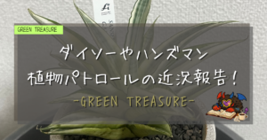 GREEN TREASURE｜植物パトロール
