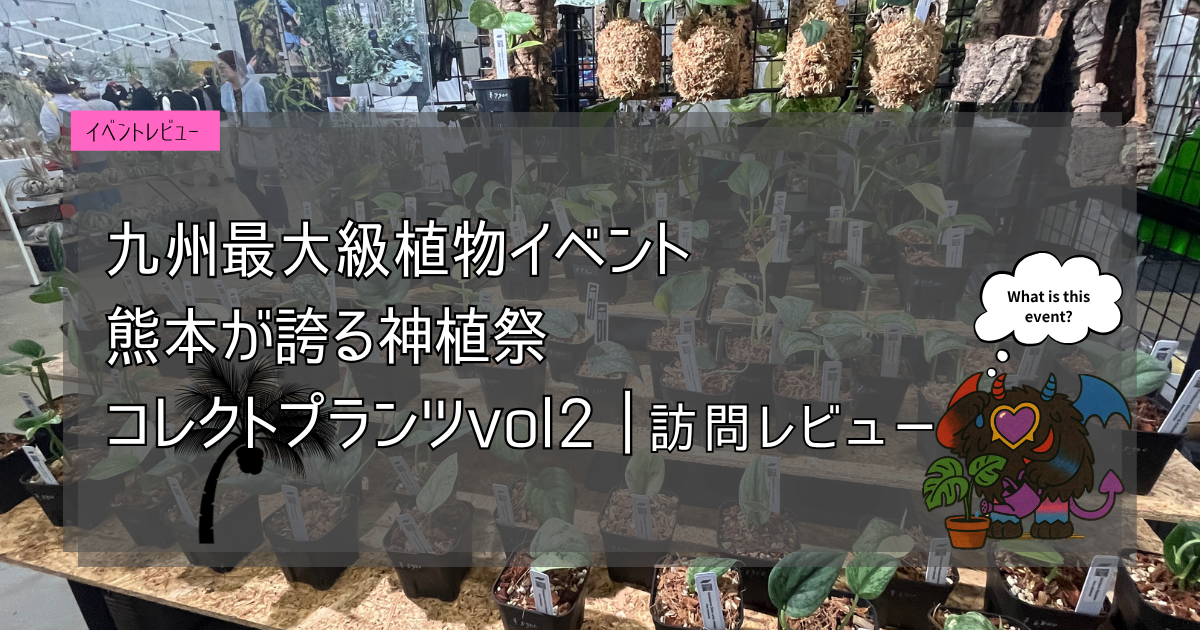 九州植物イベント紹介｜コレクトプランツ