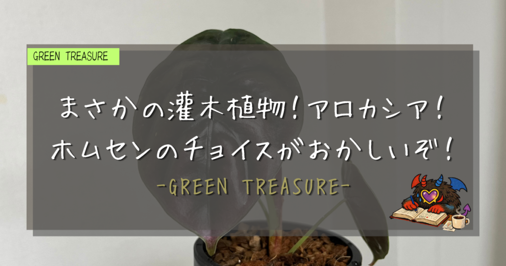 ホームセンター植物巡回｜GREEN TREASURE