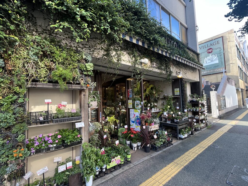 九州植物ショップMAP｜千歳農園