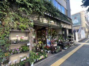 九州植物ショップMAP｜千歳農園