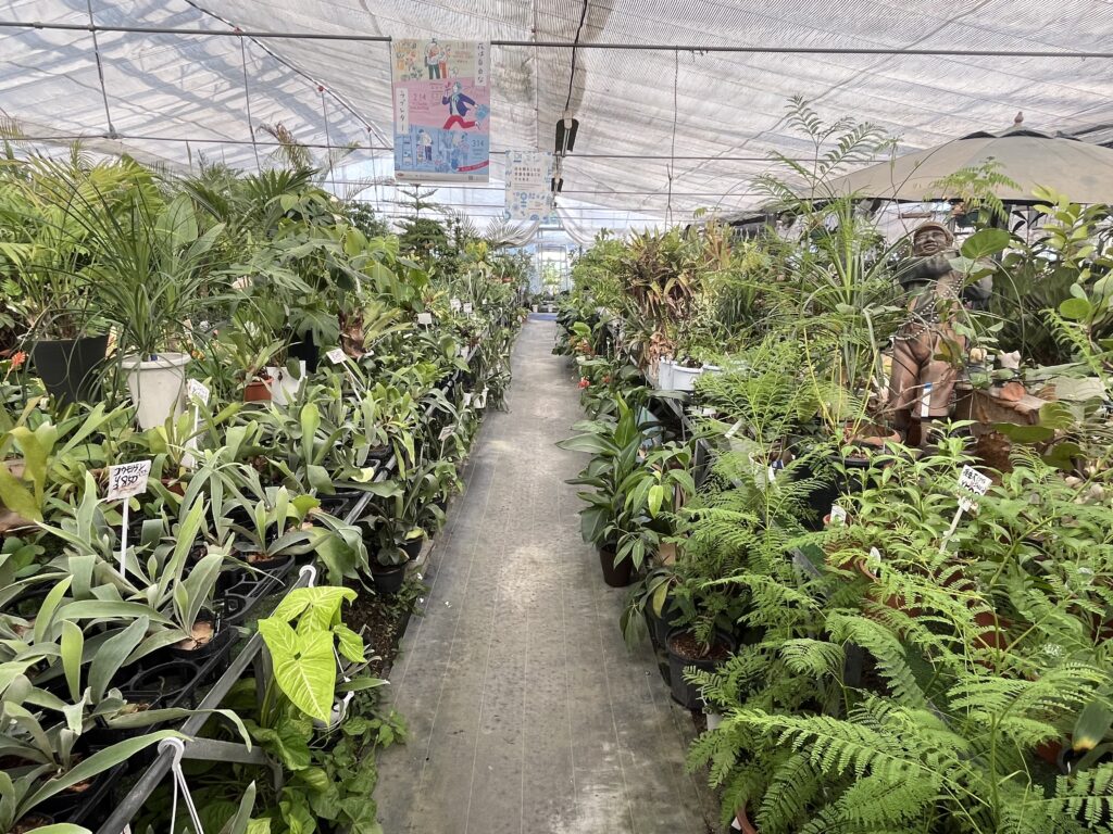 九州植物ショップMAP｜田主丸ガーデン