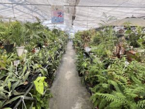 九州植物ショップMAP｜田主丸ガーデン