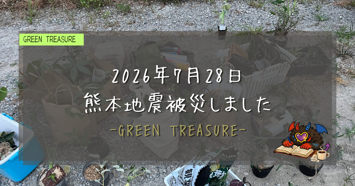 熊本地震被災|GREEN TREASURE