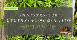 7月ハンズマンとコメリの植物｜GREEN TREASURE