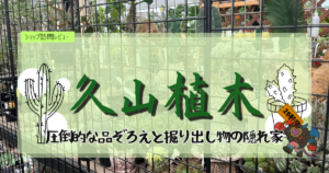 九州植物ショップ紹介｜久山植木