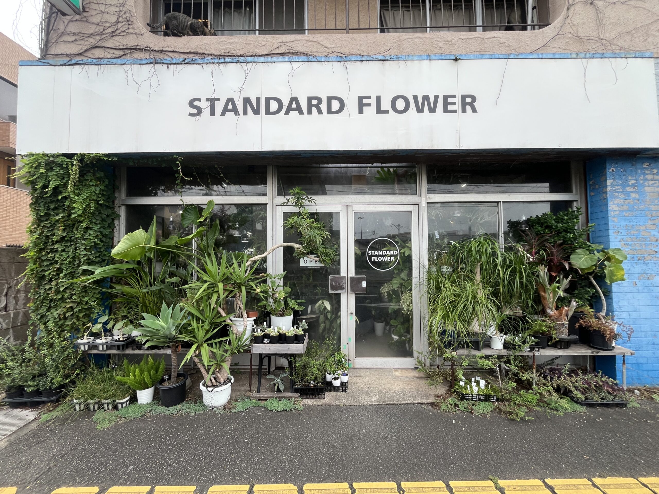 九州植物ショップMAP｜STANDARD FLOWER +GreenLabel