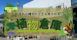 九州植物ショップ紹介｜植物倉庫