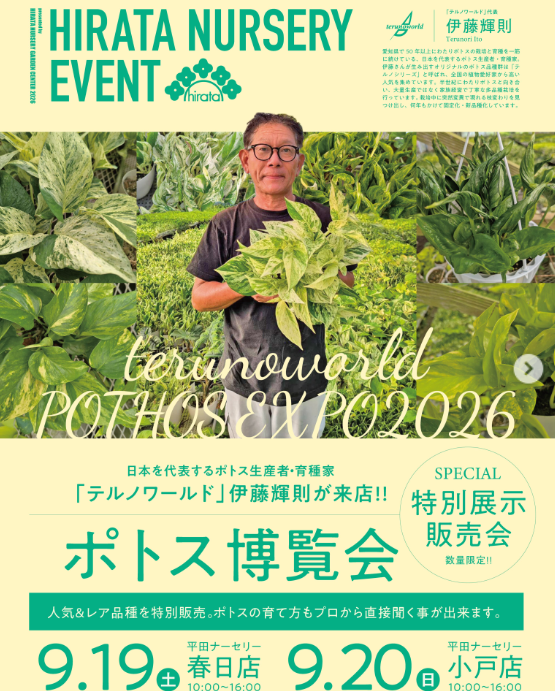 九州植物イベント｜ポトス博覧会