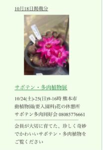 九州植物イベント｜サボテン・多肉植物展