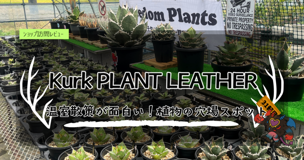 九州植物ショップ紹介｜Kurk/吉永園芸