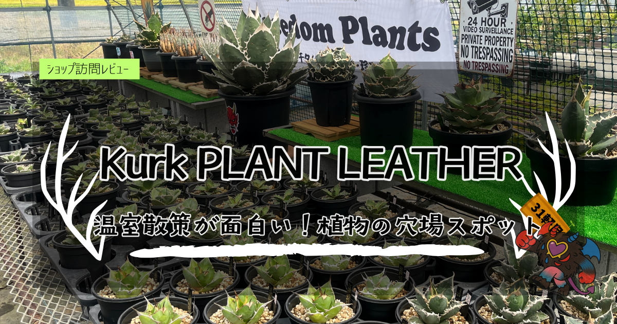 九州植物ショップ紹介｜Kurk/吉永園芸