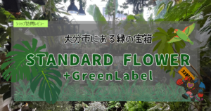 九州植物ショップ紹介｜STANDARD FLOWER +GreenLabel