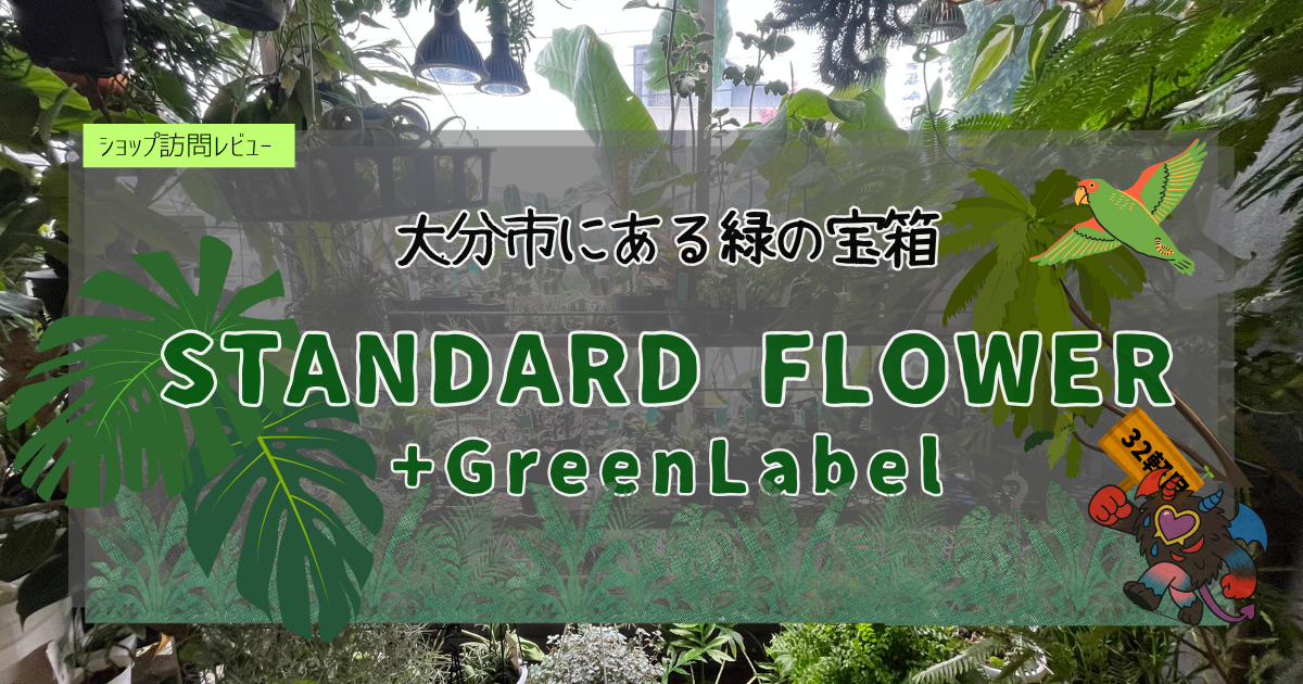 九州植物ショップ紹介｜STANDARD FLOWER +GreenLabel