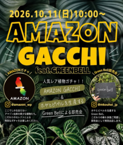 九州植物イベント｜アマゾンガッチー