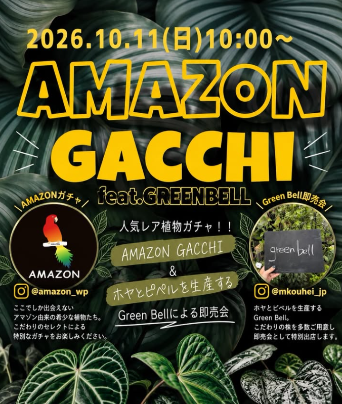 九州植物イベント｜アマゾンガッチー